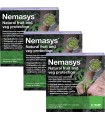 Nemasys Caterpillar, Box Moth, Codling Moth & Gooseberry Sawfly - April Despatch - 3 Packs