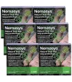 Nemasys Fruit & Veg Protection (3 x 2 Packs / 3 Months Supply)