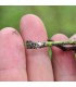 Mealy Bug Control - Cryptolaemus larvae x10