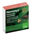 Nemasys Vine Weevil Killer - 100 sq.m (Underglass usage)