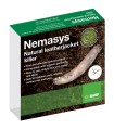 Nemasys Leatherjacket Killer Programme -  (Spring 50sq.m and Autumn 100sq.m)