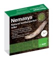 Nemasys Leatherjacket Killer Programme -  (Spring 250sq.m and Autumn 500sq.m)