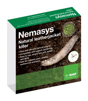 Nemasys Leatherjacket Killer  - Single Pack (Autumn 100 sq m)