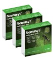 Nemasys No Ants - Programme (12 Weeks) Standard (16 Ant Nest Treatment)