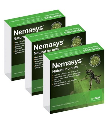 Nemasys No Ants - Programme (12 Weeks) Large(50 Ant Nest Treatment)