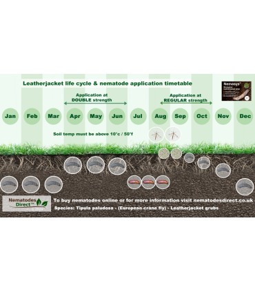 Nemasys Leatherjacket Killer Programme -  (Spring 50 sq m and Autumn 100 sq m)