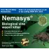 Nemasys Vine Weevil Killer Nematodes - 100m2