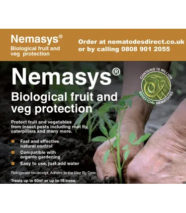 Nemasys Caterpillar, Codling Moth & Gooseberry Sawfly Nematodes - April Despatch