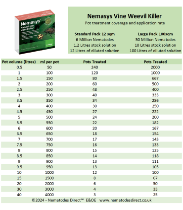 Nemasys Vine Weevil Killer Nematodes - (12 sq.m) Spring / Summer Application