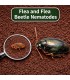 Flea and Flea Beetle Nematodes - 50 Sq.M (25 Sq.M x 2)