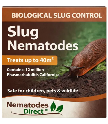 Slug Nematodes - 40 Sq.M - Phasmarhabditis Californica