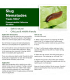 Slug Nematodes - 100 Sq.M