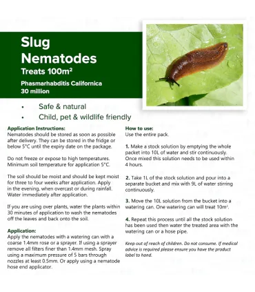 Slug Nematodes - 100 Sq.M - Phasmarhabditis Californica