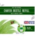 Adult Chafer Beetle Lure - Replacement Lure Only