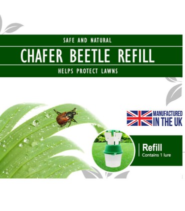 Adult Chafer Beetle Lure - Replacement Lure Only